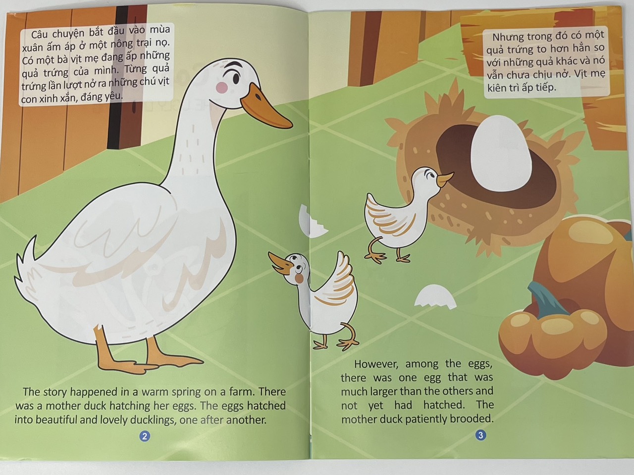 z4338918355281_86c96c30855d93a3cf821c8c2d2e92b3