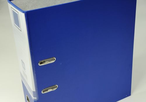 Cặp lỗ Trà My 10cm khổ F - 1681