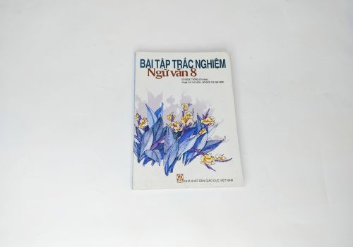 Bài Tập Trắc Nghiệm Ngữ Văn Lớp 8